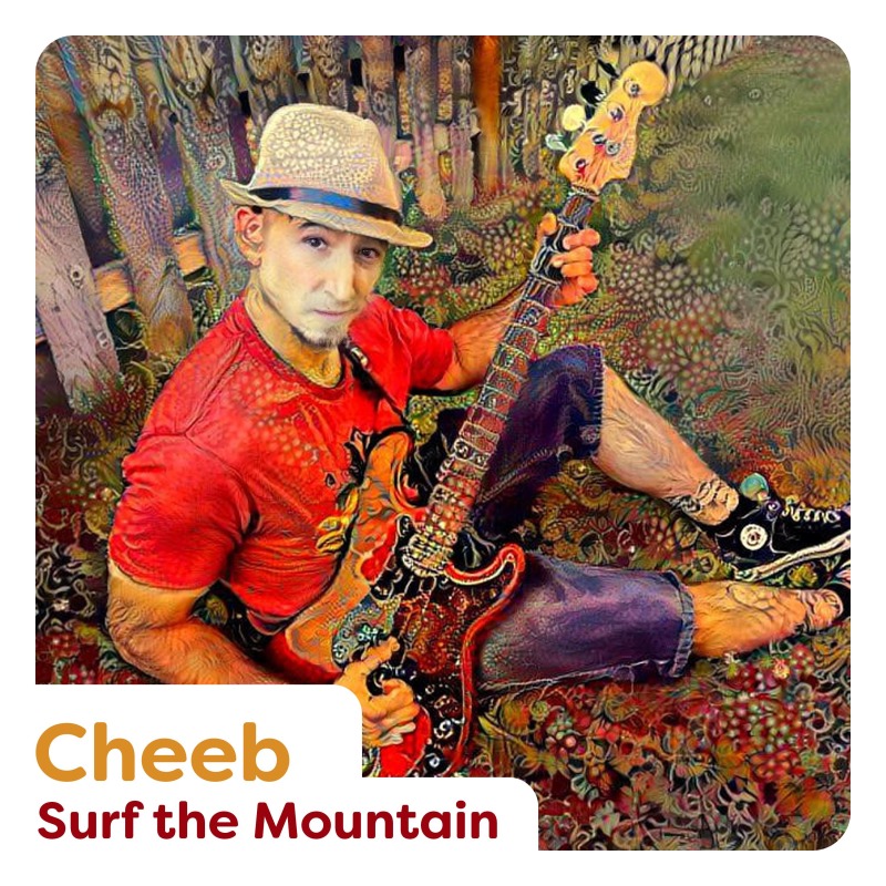 Surf the Mountain cover art